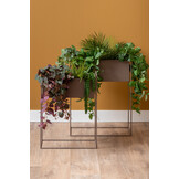 Present Time - Plant Pot Set Essence Straight - Donkergrijs