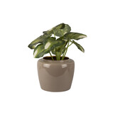 Present Time - Bloempot Grand Medium - Warmgrijs