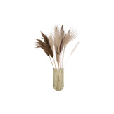 Present Time - Vaas Attract Large - Mosgroen
