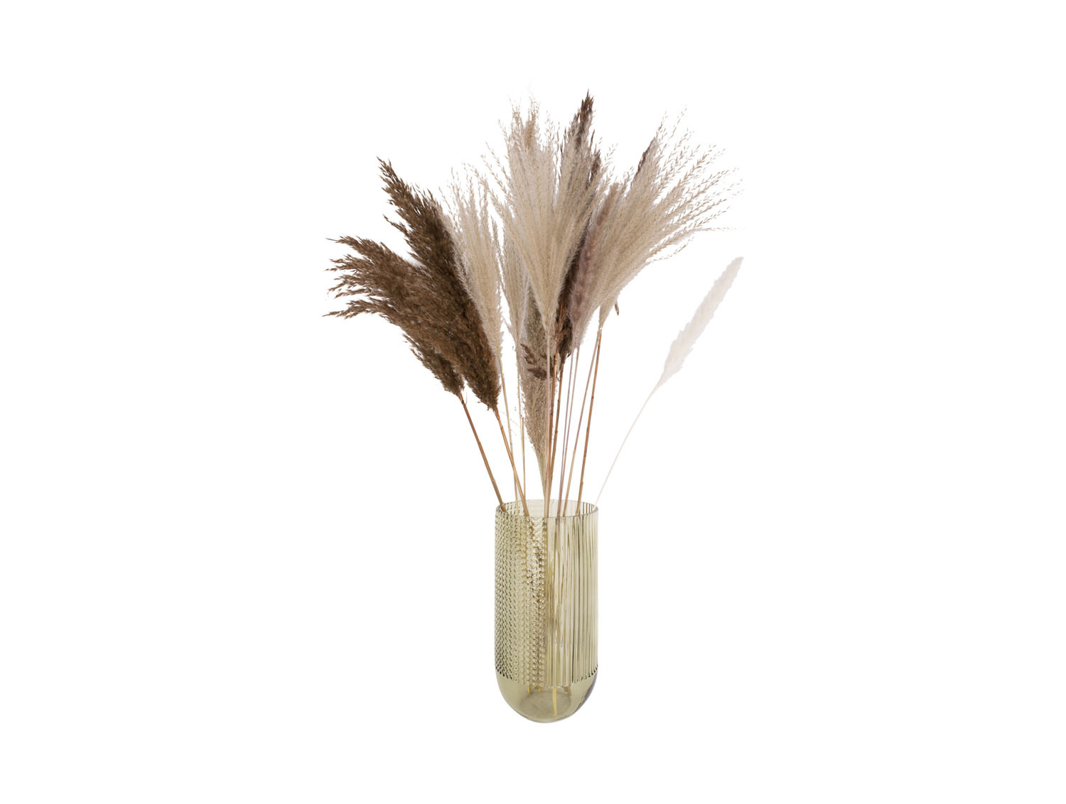 Present Time - Vaas Attract Large - Mosgroen