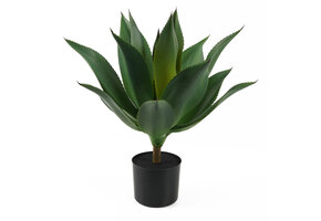 Present Time - Kunstplant Succlulent - Donkergroen