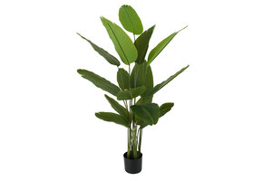 Present Time - Kunstplant Canna - Groen