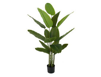 Present Time - Kunstplant Canna - Groen