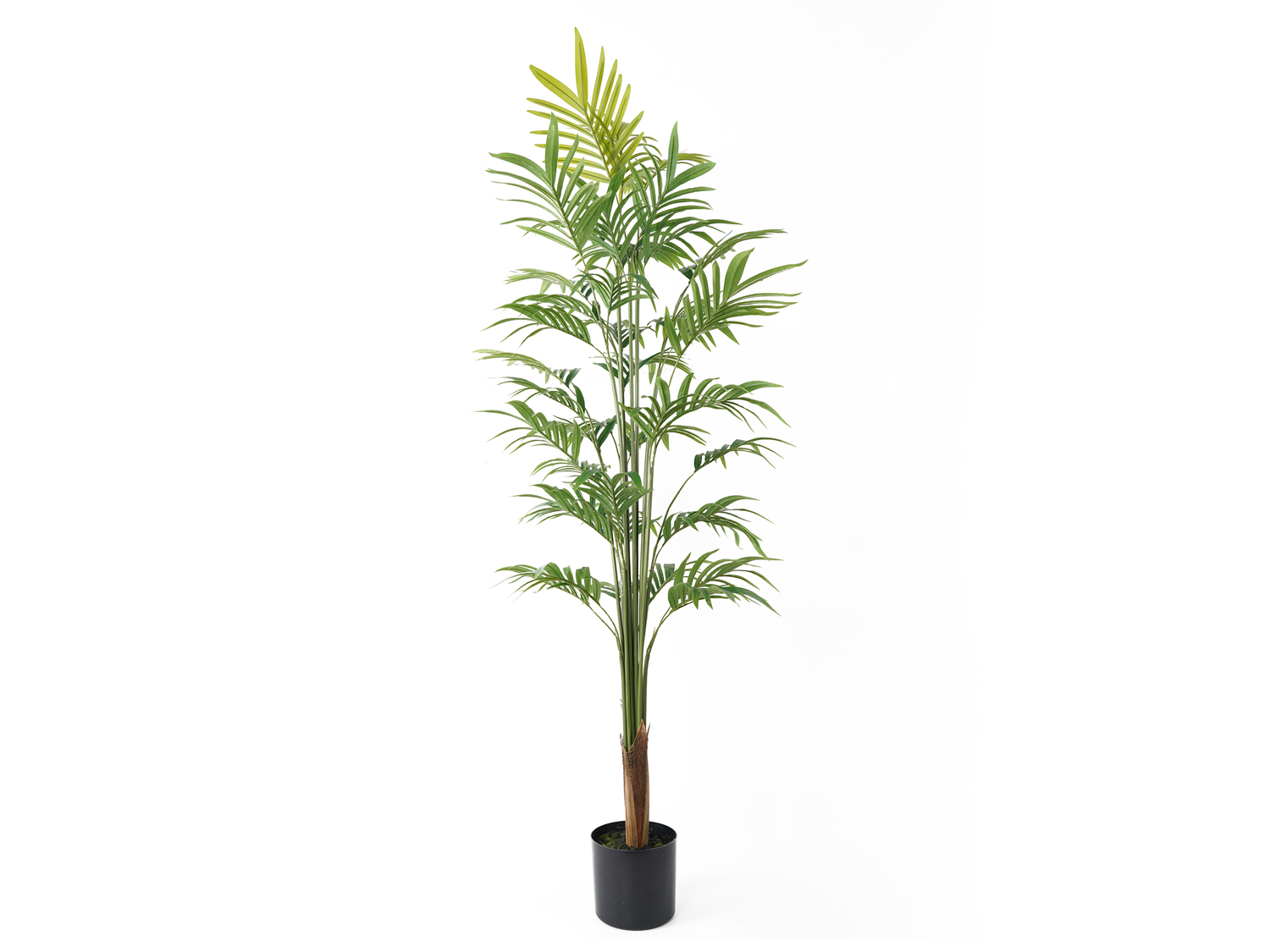 Present Time - Kunstplant Gold Palm Tree Large - Groen