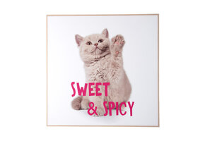 Present Time - Wall Art Kitten Sweet & Spicy - Multicolor