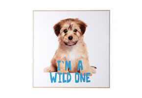 Present Time - Wall Art Puppy I'm A wilde One - Multicolor