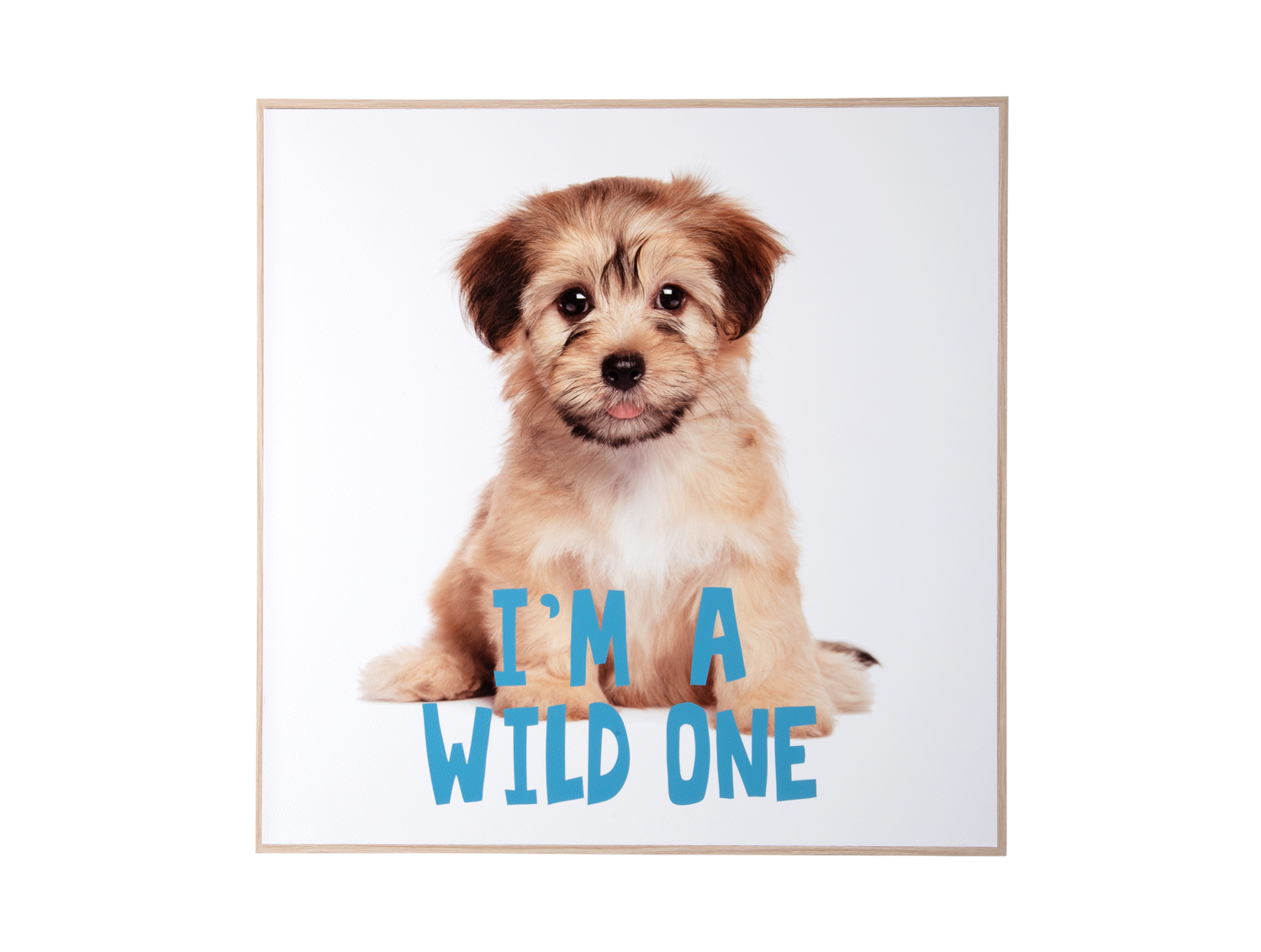 Present Time - Wall Art Puppy I'm A wilde One - Multicolor