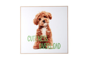 Present Time - Wall Art Puppy Cuteness Overload - Multicolor