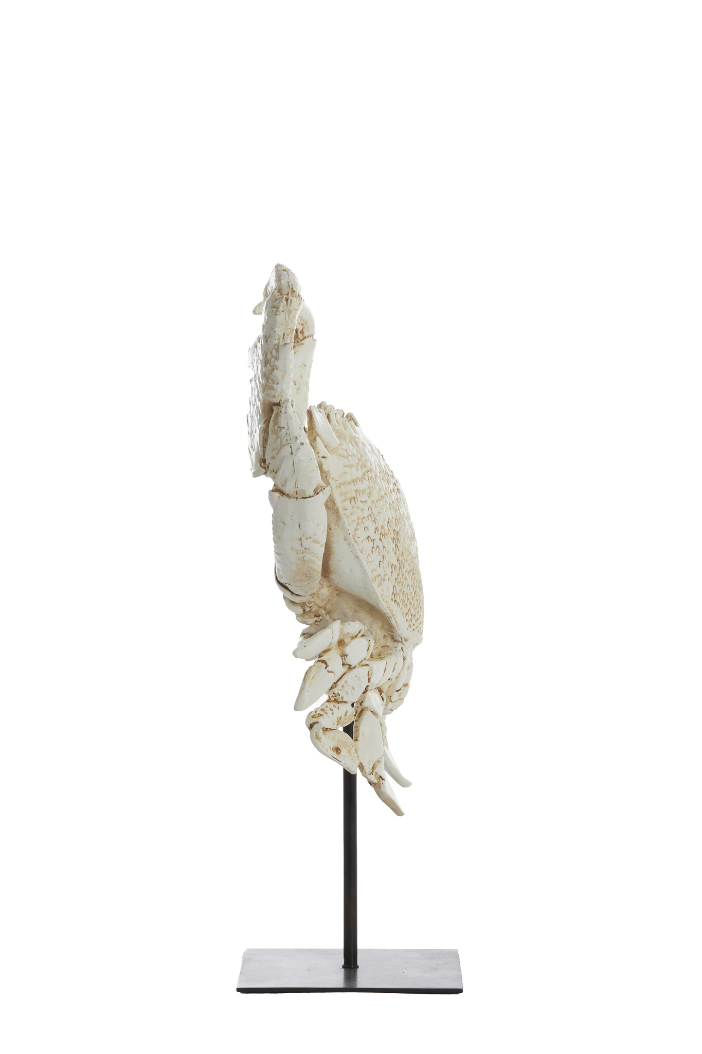 Light & Living - Ornament CRAB - 23x12.5x42.5cm - Wit