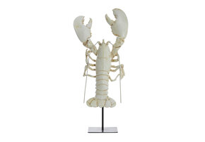 Light & Living - Ornament LOBSTER - 25x14x56.5cm - Wit