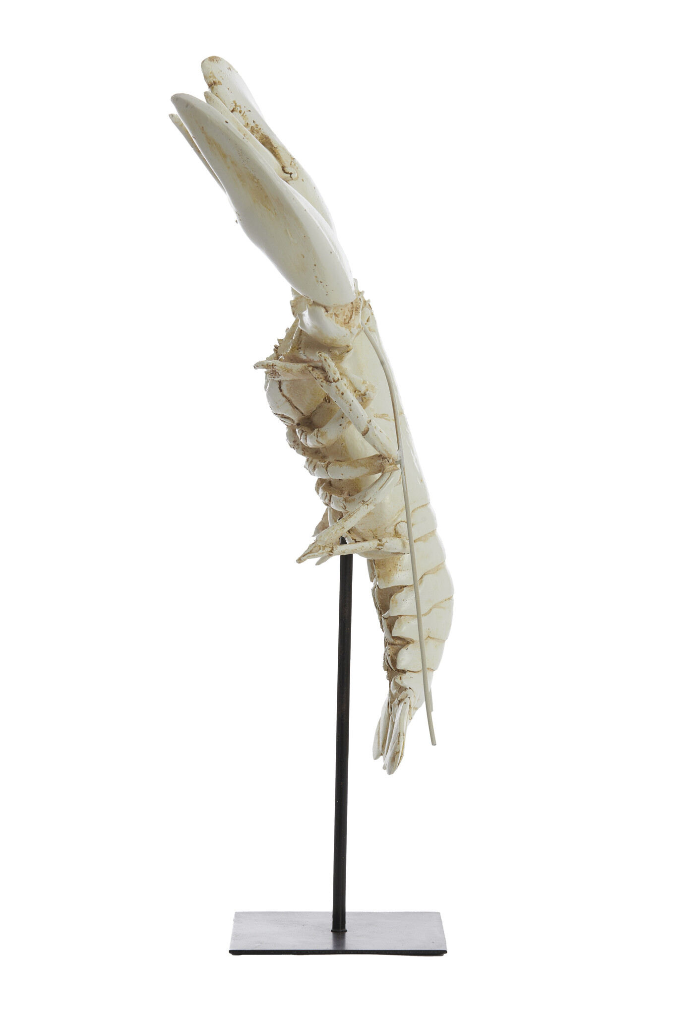 Light & Living - Ornament LOBSTER - 25x14x56.5cm - Wit