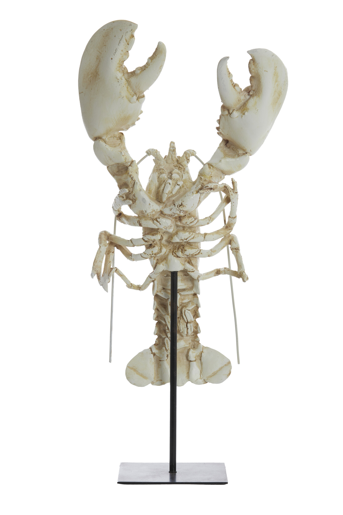 Light & Living - Ornament LOBSTER - 25x14x56.5cm - Wit