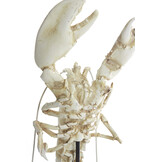 Light & Living - Ornament LOBSTER - 25x14x56.5cm - Wit