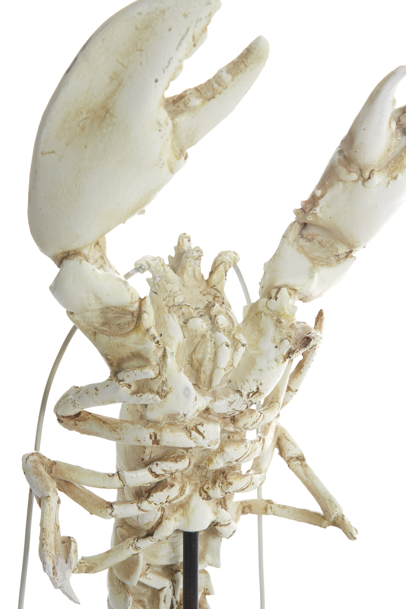 Light & Living - Ornament LOBSTER - 25x14x56.5cm - Wit