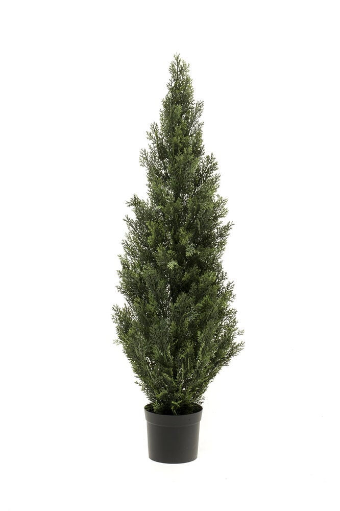 Hoyz Greenery - Kunst Tuja UV 120cm
