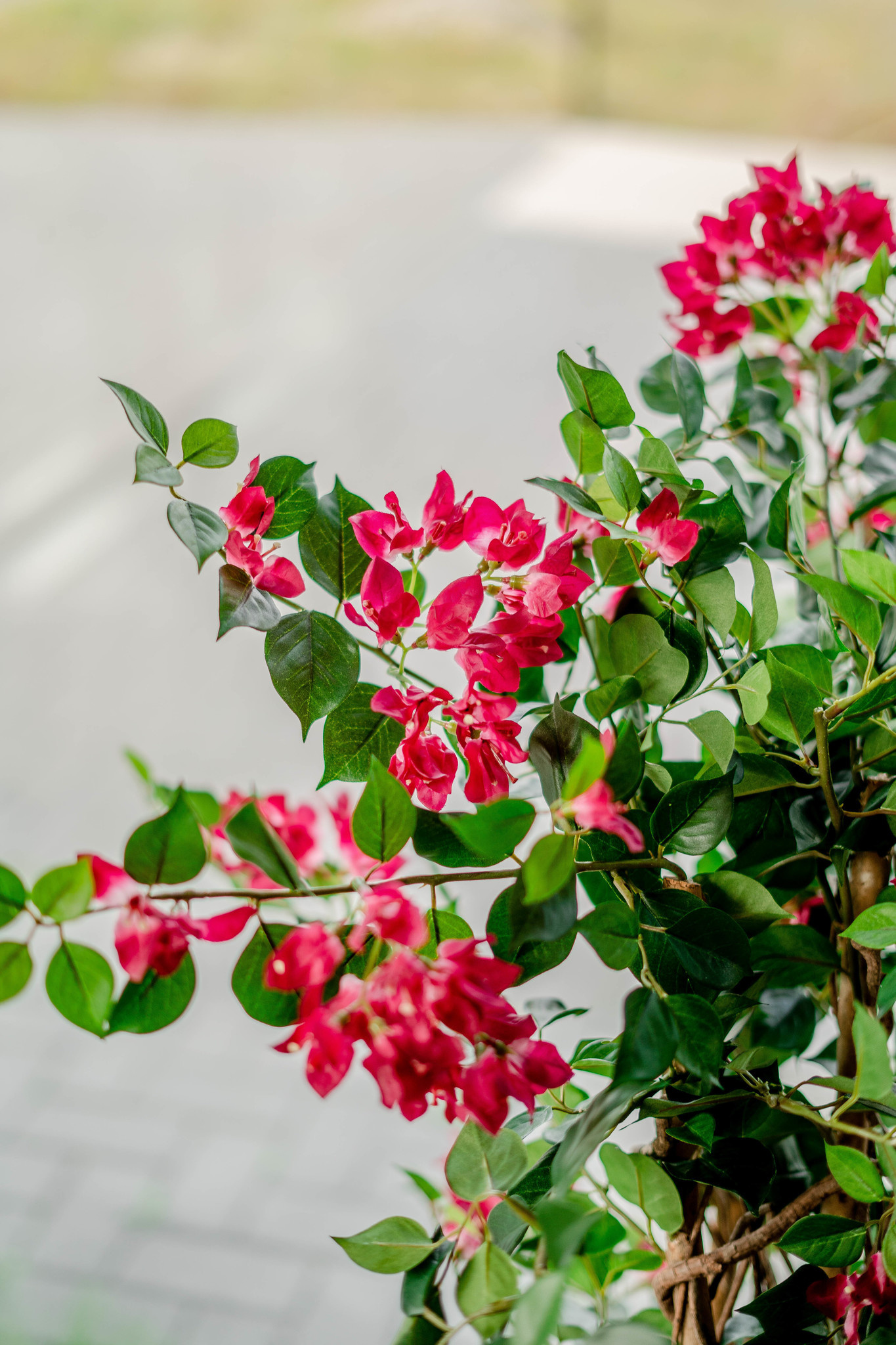 Hoyz Greenery - Kunstplant Bougainvillea Liana Fuchsia 115 cm