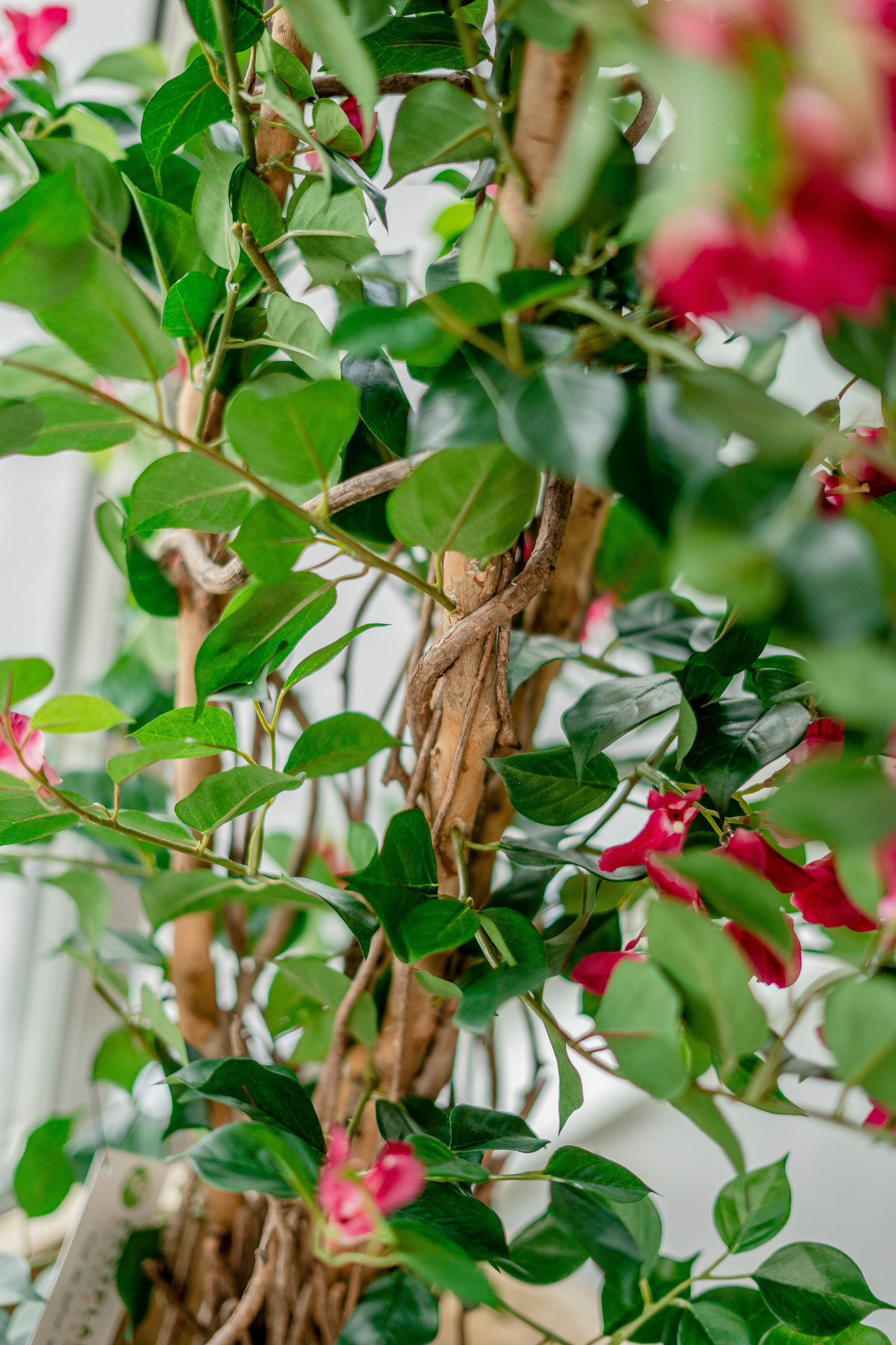 Hoyz Greenery - Kunstplant Bougainvillea Liana Fuchsia 115 cm
