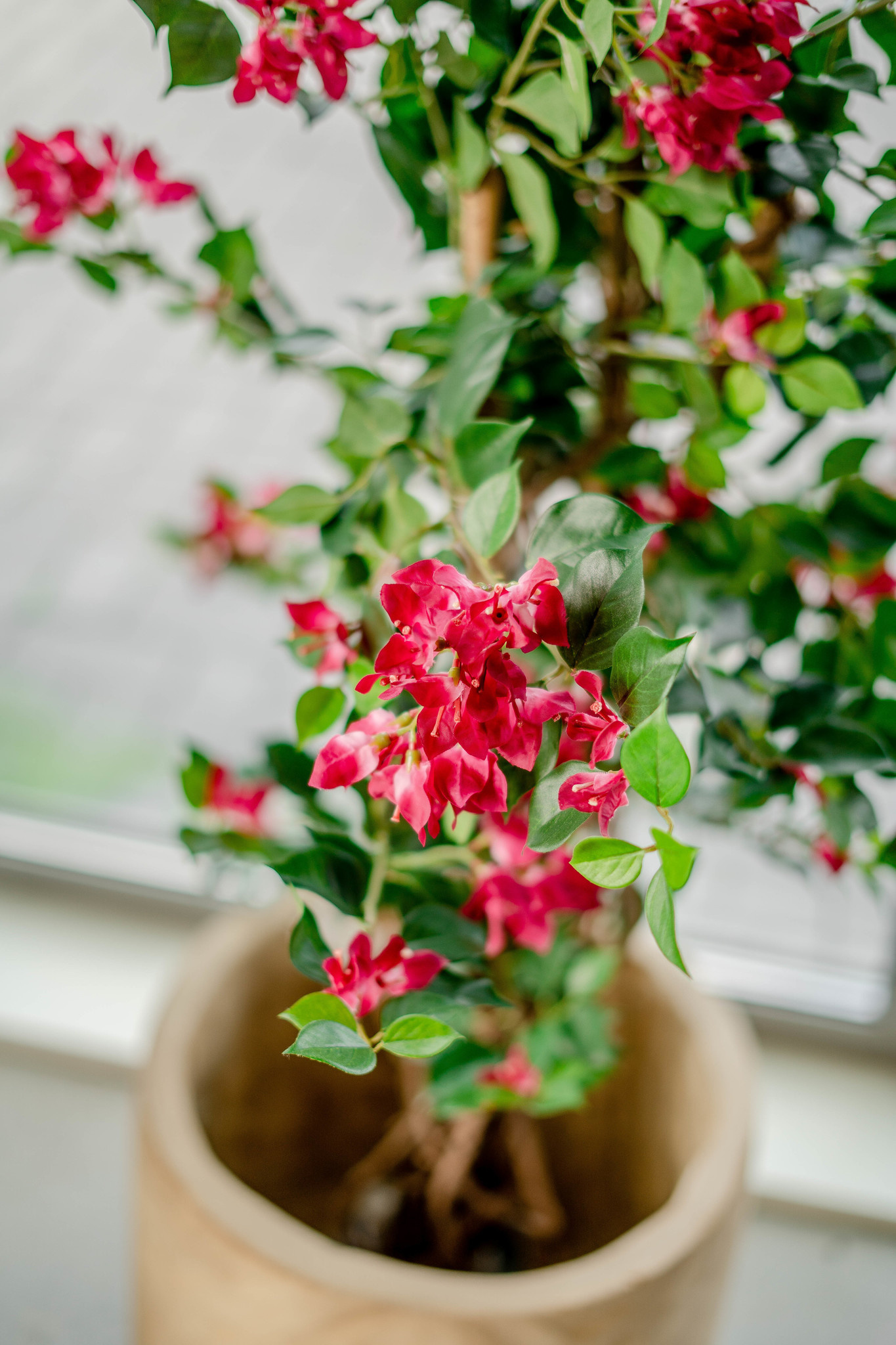 Hoyz Greenery - Kunstplant Bougainvillea Liana Fuchsia 115 cm