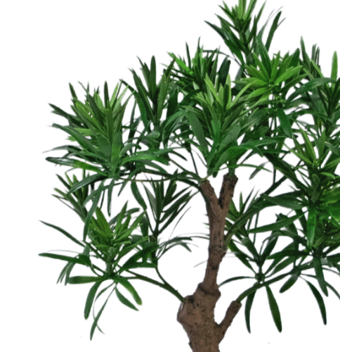 Hoyz Greenery - Kunstplant Bonsai Podocarpus 30 cm