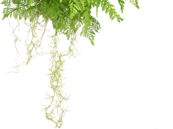 Hoyz Greenery - Kunst hangplant Varen met wortels d55 cm met hangsysteem