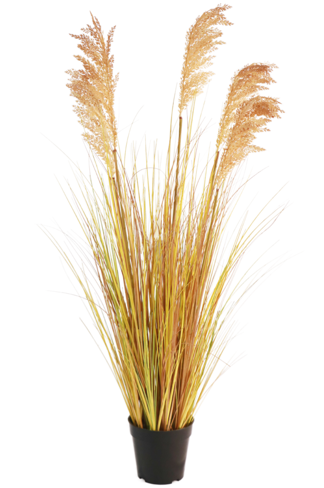 Hoyz Greenery - Kunst Grasplant Sorghum 110 cm