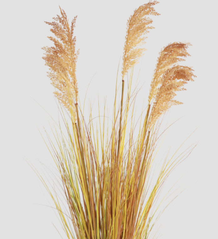Hoyz Greenery - Kunst Grasplant Sorghum 110 cm