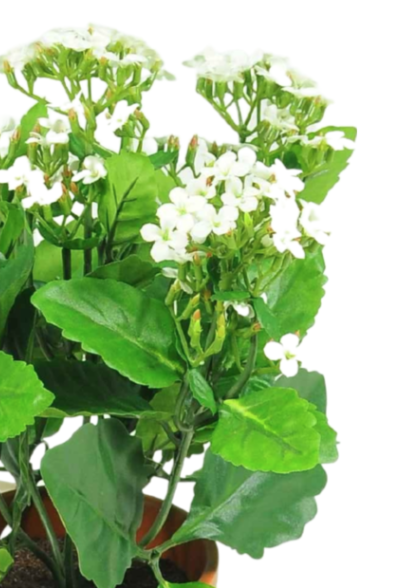 Hoyz Greenery - Kunstbloem Kalanchoe plant 31 cm wit