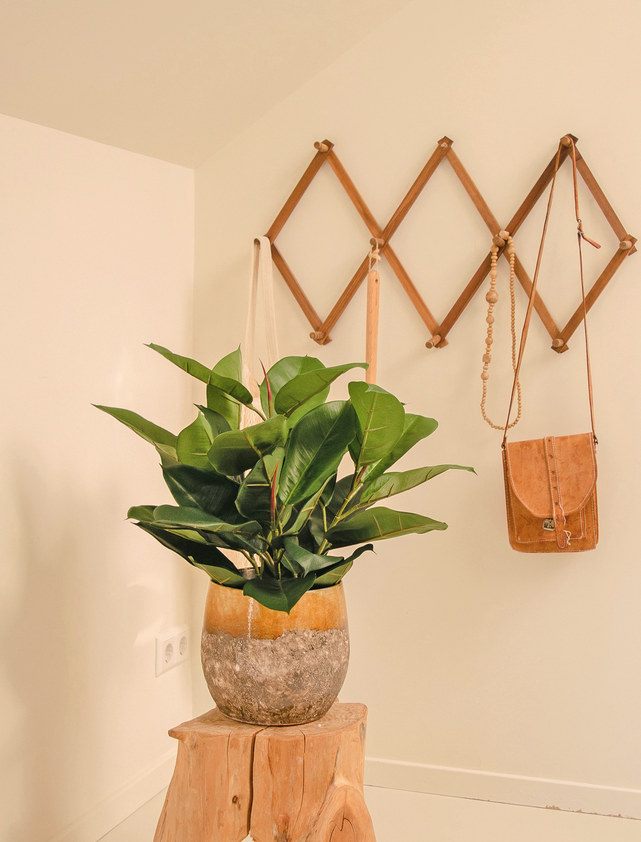 Hoyz Greenery - Kunstplant Rubber plant 51 cm