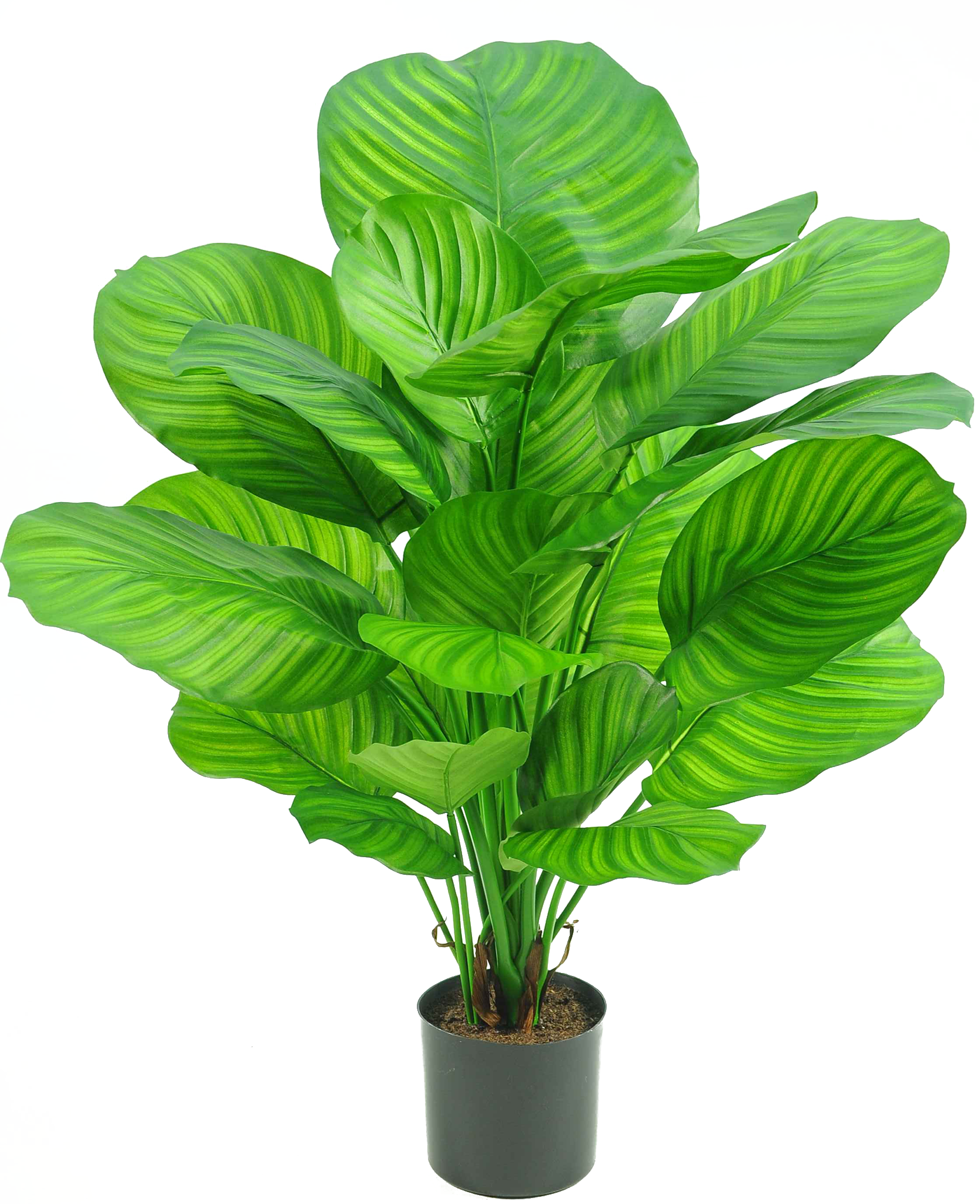 Hoyz Greenery - Kunstplant Calathea 72 cm