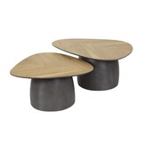 Hoyz Collection - Salontafel Infinite - Gerecycled Teakhout - Set van 2