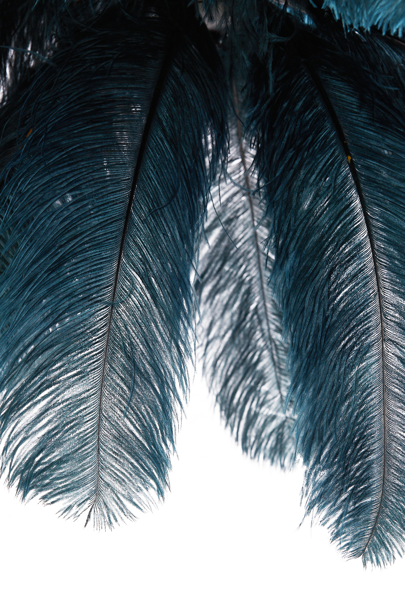 Light & Living - Hanglamp FEATHER - Ø80x80cm - Blauw
