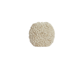 Light & Living - Vaas PHYLIA - 31.5x17x28cm - Wit