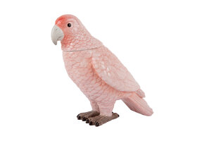 Present Time - Storage Jar Bird - Zachtroze