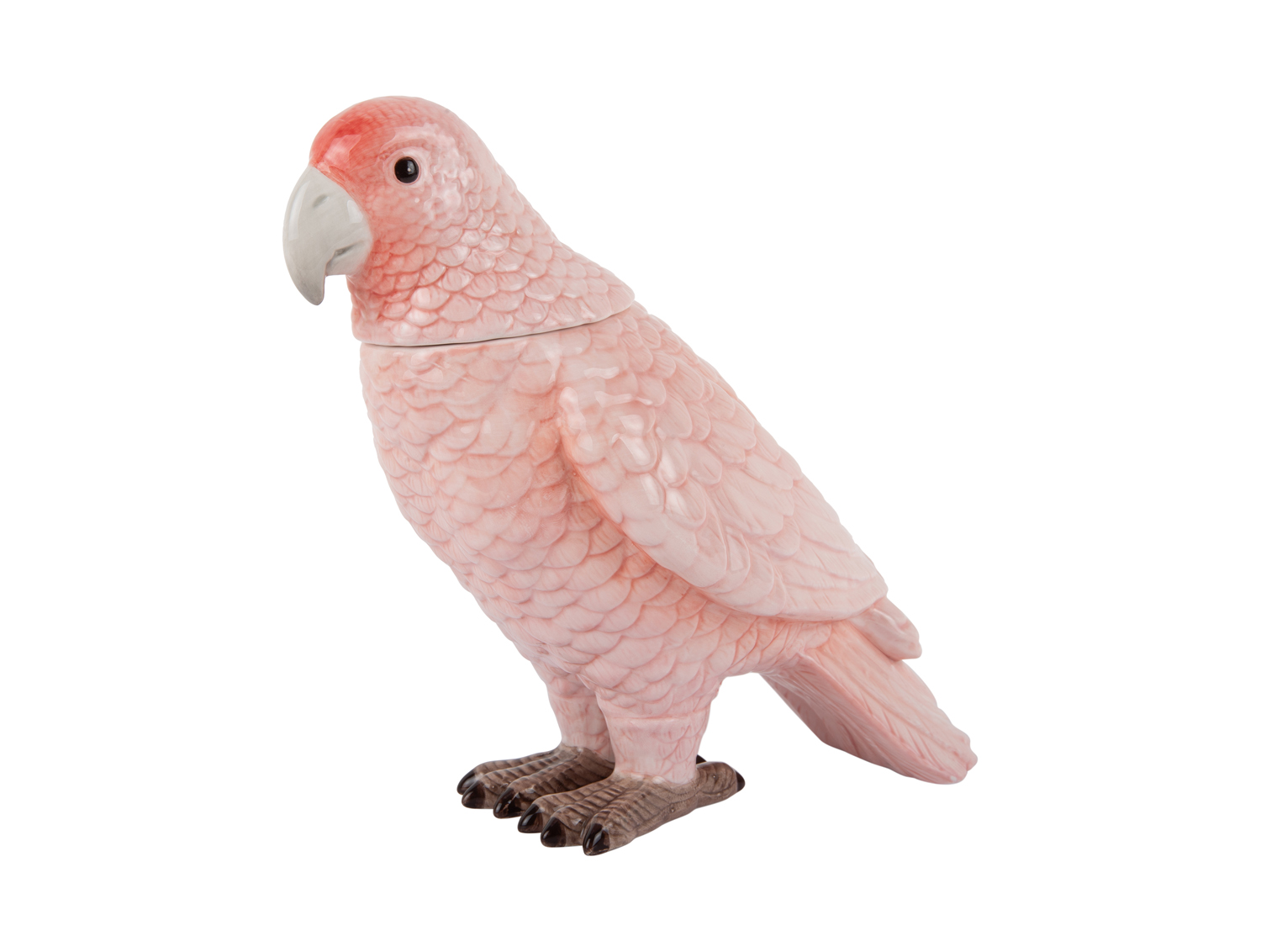 Present Time - Storage Jar Bird - Zachtroze