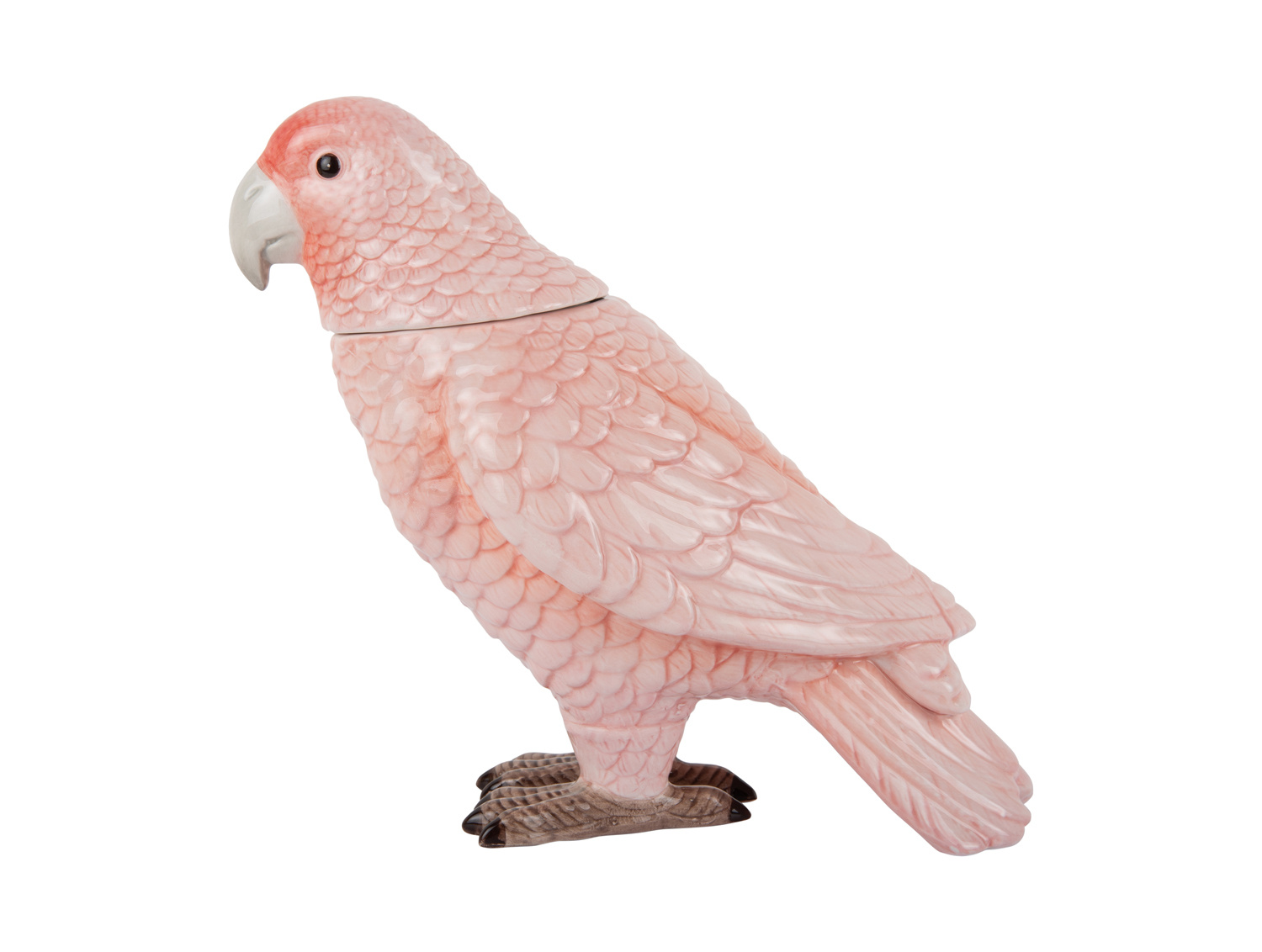 Present Time - Storage Jar Bird - Zachtroze