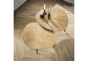 Hoyz Collection - Salontafel Set-2 Organisch Ray - Brons/Goud Metaal