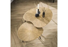 Hoyz Collection - Salontafel Set-2 Niervormig Ray - Brons/Goud Metaal