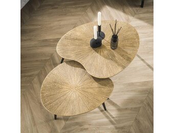 Hoyz Collection - Salontafel Set-2 Niervormig Ray - Brons/Goud Metaal