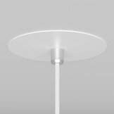 Maytoni Technical - Hanglamp Nevill - Wit - Ø8