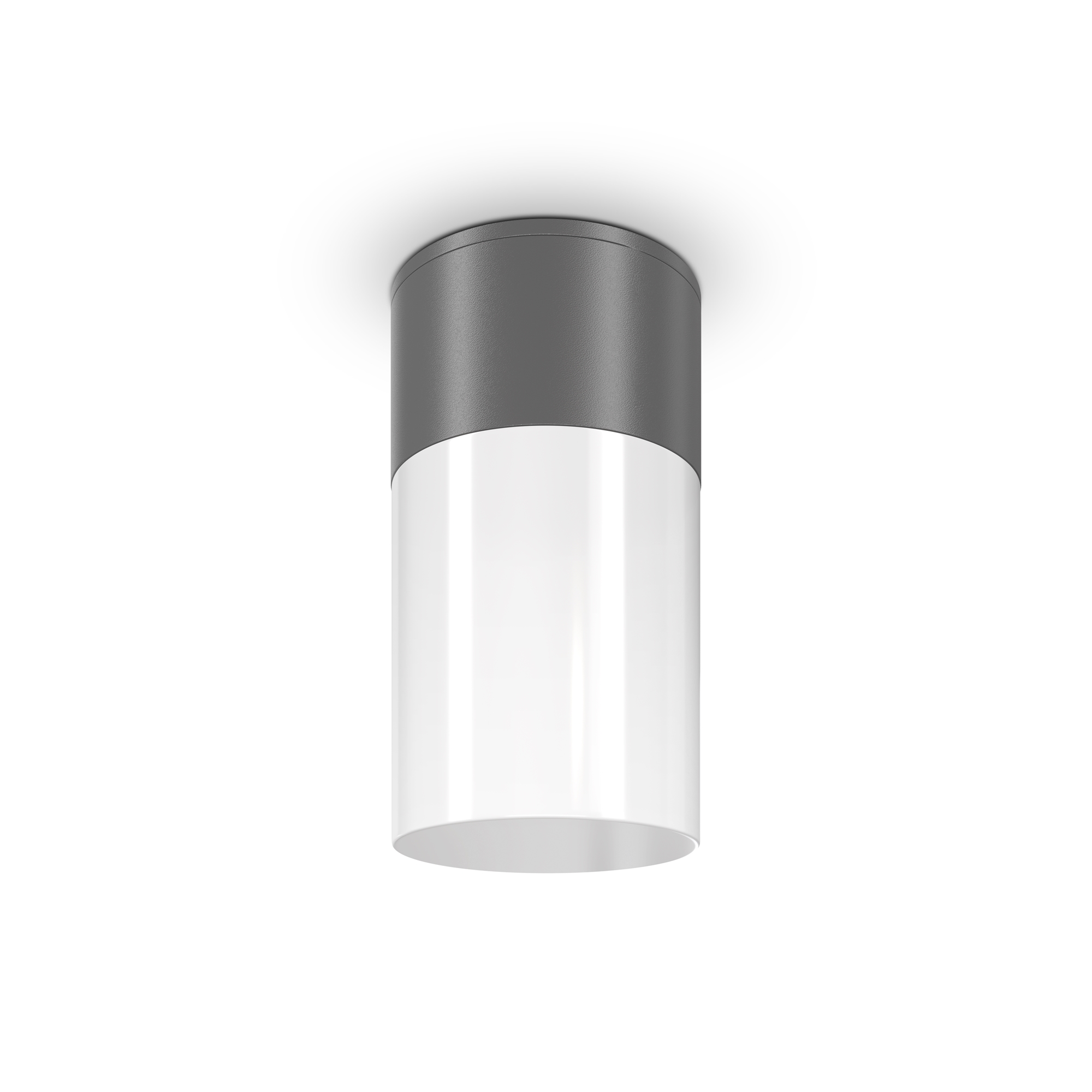 Maytoni Outdoor - Plafondlamp Willis - Grafiet - Ø8
