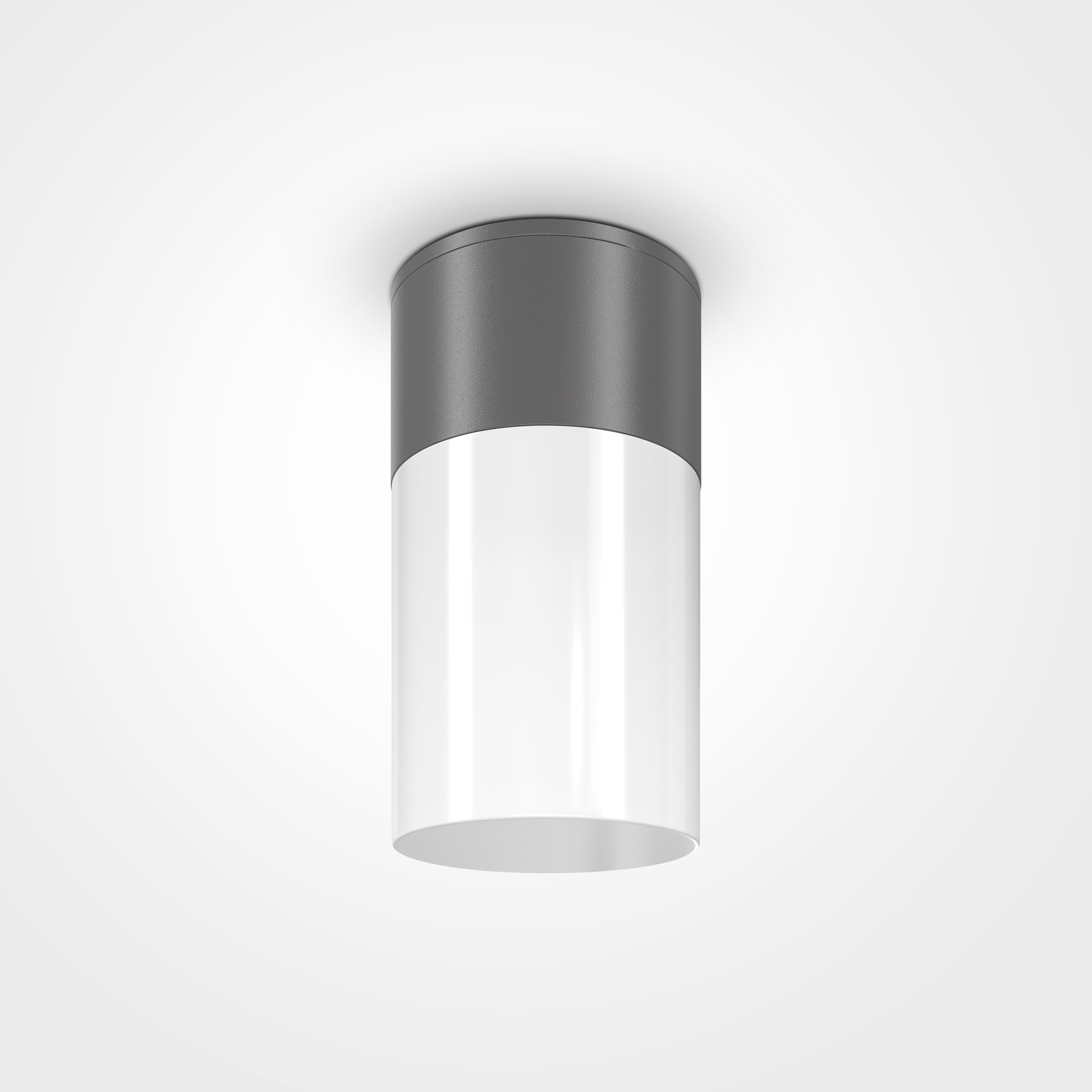 Maytoni Outdoor - Plafondlamp Willis - Grafiet - Ø8