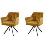 Hoyz Collection - Armstoel Raster Draaibaar - Set van 2