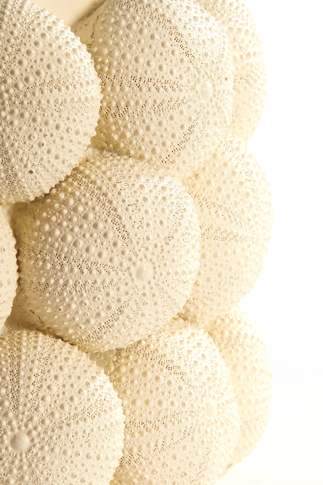 Light & Living - Vaas SEA URCHIN - Ø19x32.5cm - Wit