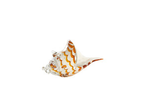 Light & Living - Ornament SHELL - 28x12x16cm - Wit