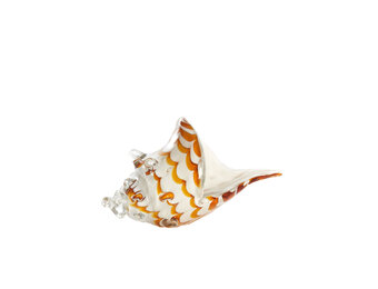 Light & Living - Ornament SHELL - 28x12x16cm - Wit