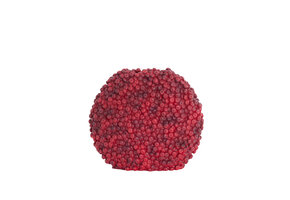 Light & Living - Vaas BERRIES - 44x19x37cm - Rood