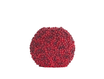 Light & Living - Vaas BERRIES - 44x19x37cm - Rood