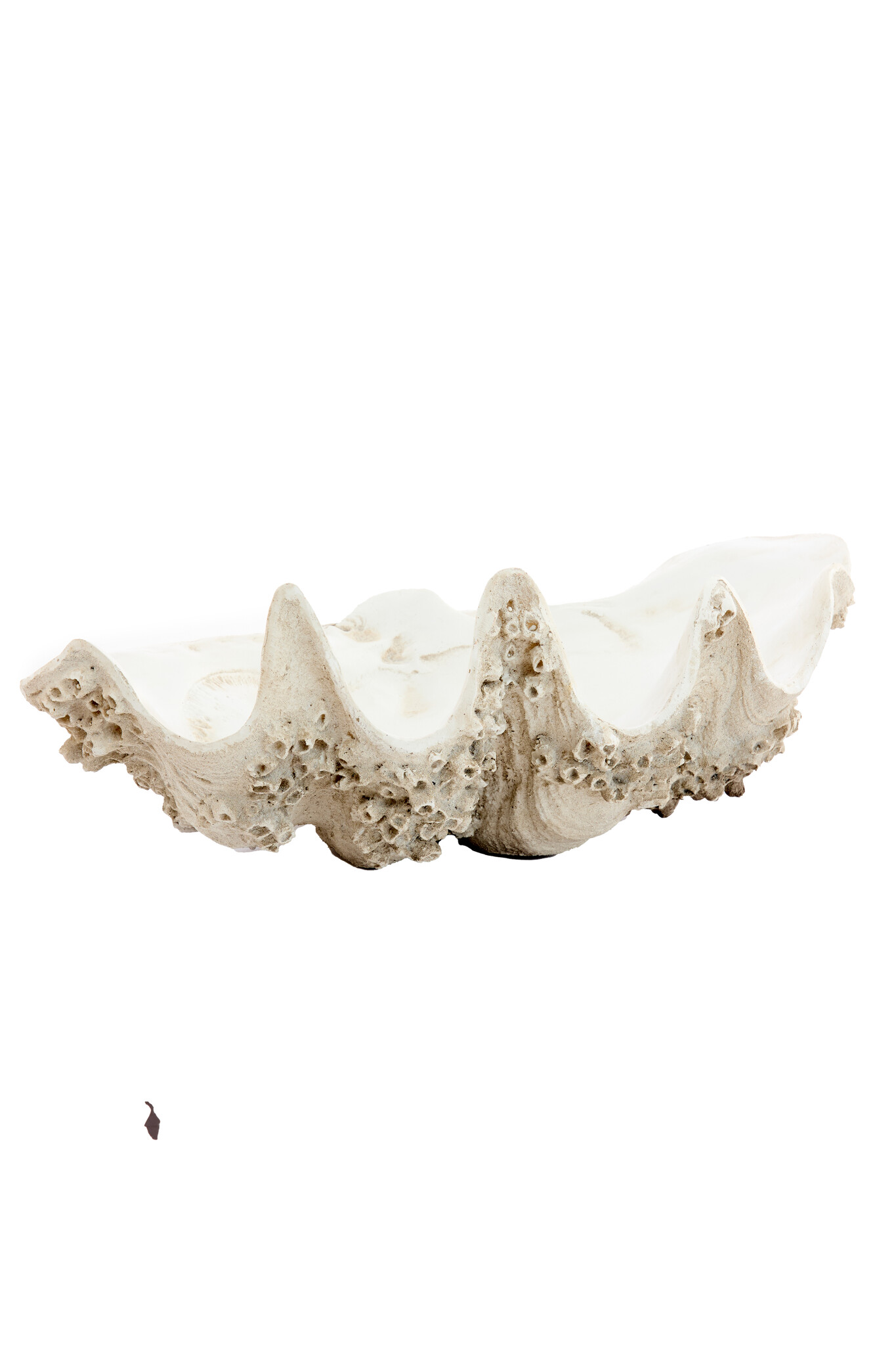 Light & Living - Ornament SHELL - 52x28x18cm - Bruin