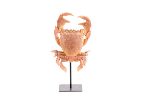 Light & Living - Ornament CRAB - 23x12.5x42.5cm - Oranje