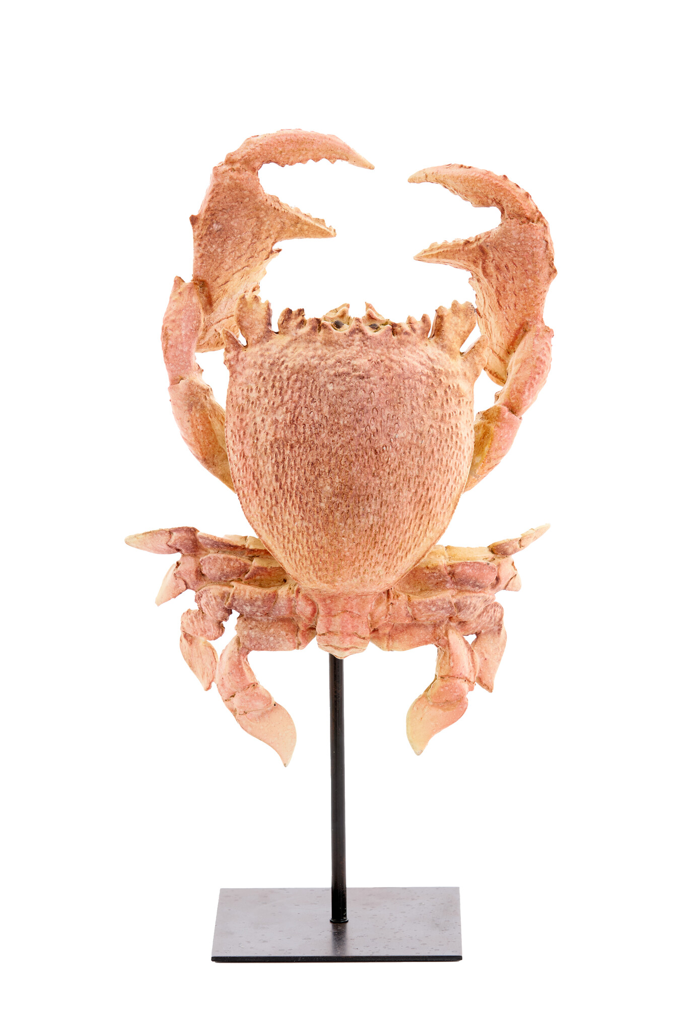 Light & Living - Ornament CRAB - 23x12.5x42.5cm - Oranje